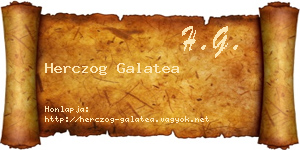 Herczog Galatea névjegykártya